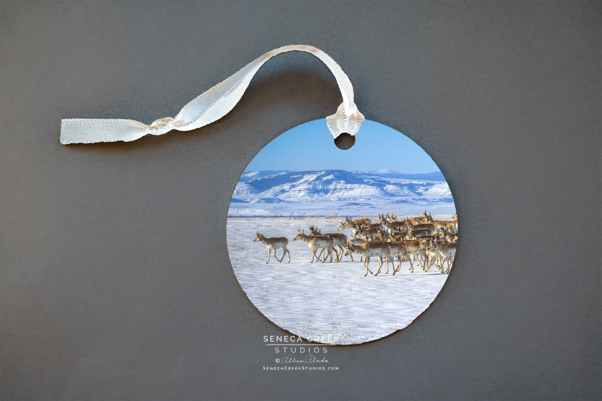 "Winter Herd of Pronghorn Antelope” Fine Art Metal Print Ornaments - Seneca Creek Studios