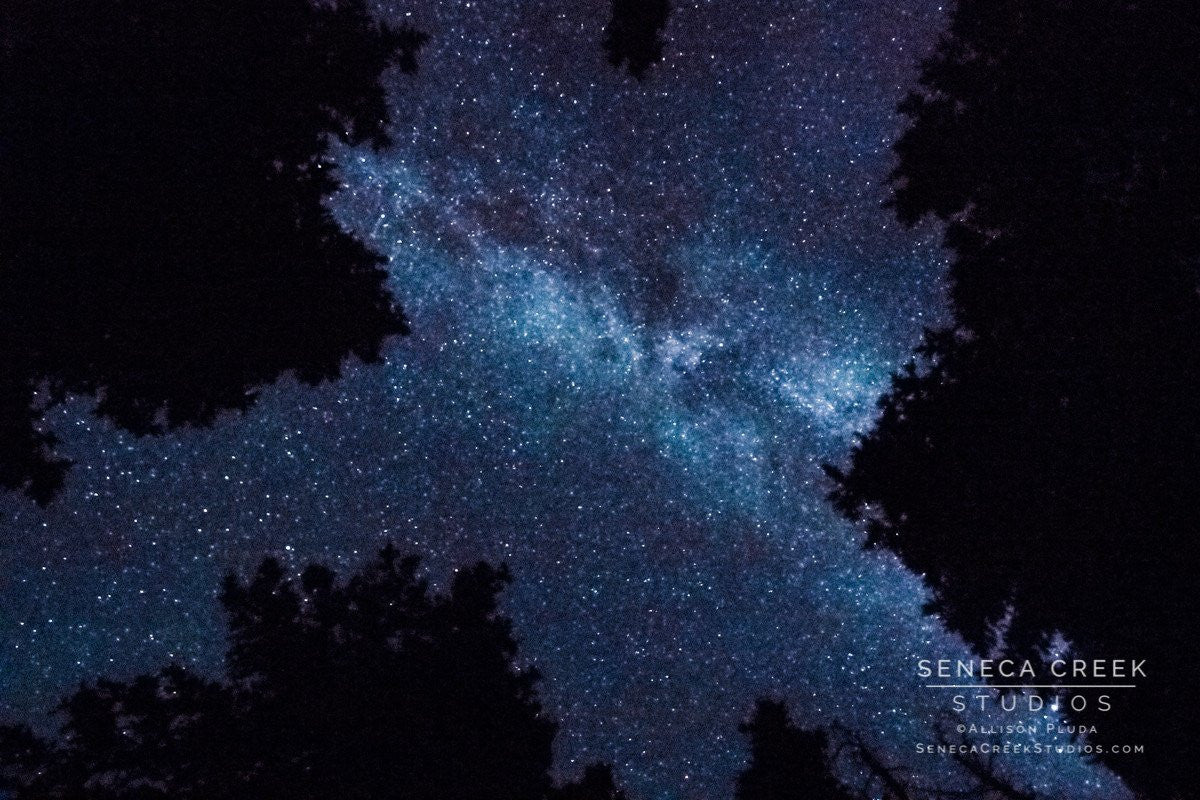 "Gazing Up at the Milky Way through the Trees in Wyoming" Fine Art Photographic Print - Seneca Creek Studios