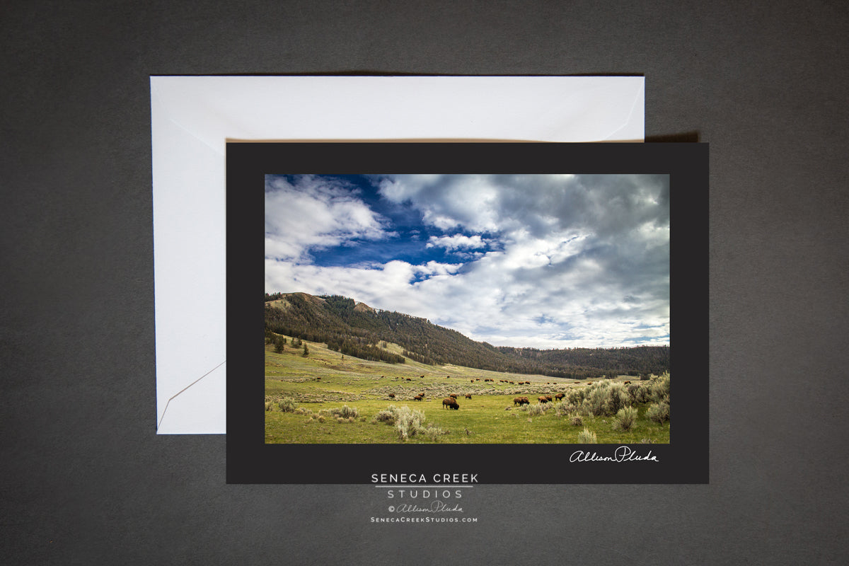 "Valley of Bison, Wyoming" Photo Art Greeting Card - Seneca Creek Studios