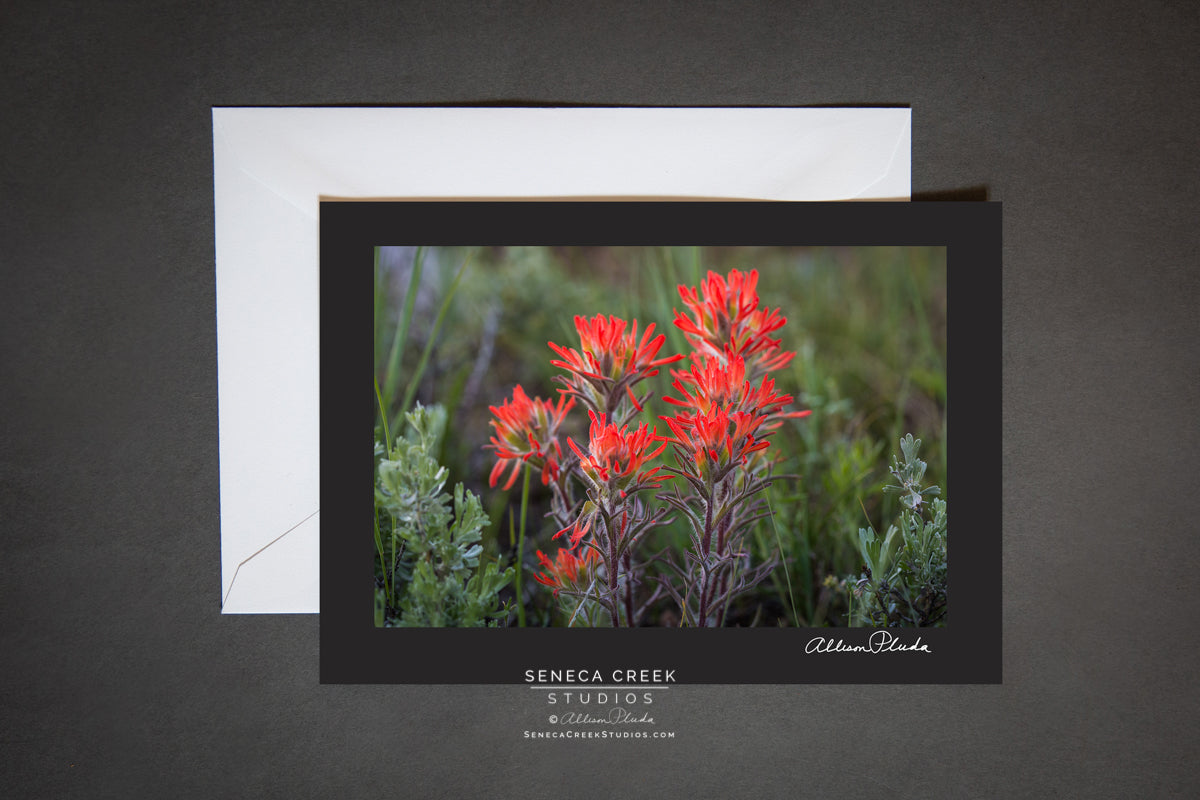 Photo Art Greeting Cards