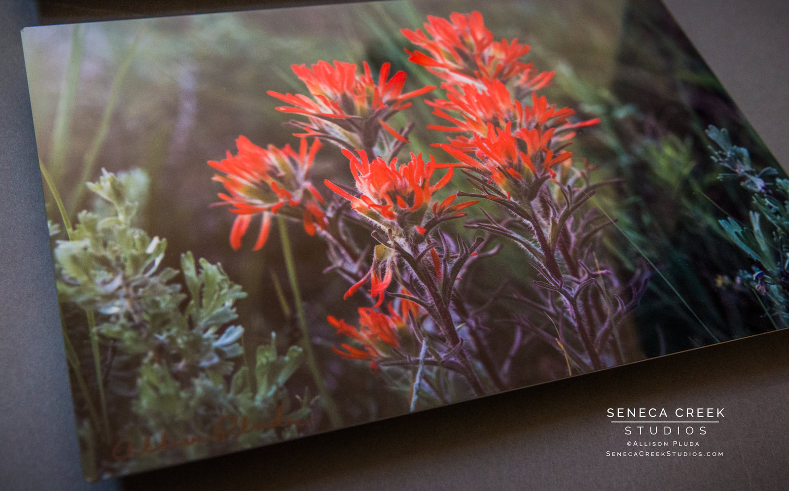 Scratch and Dent Inventory Sale