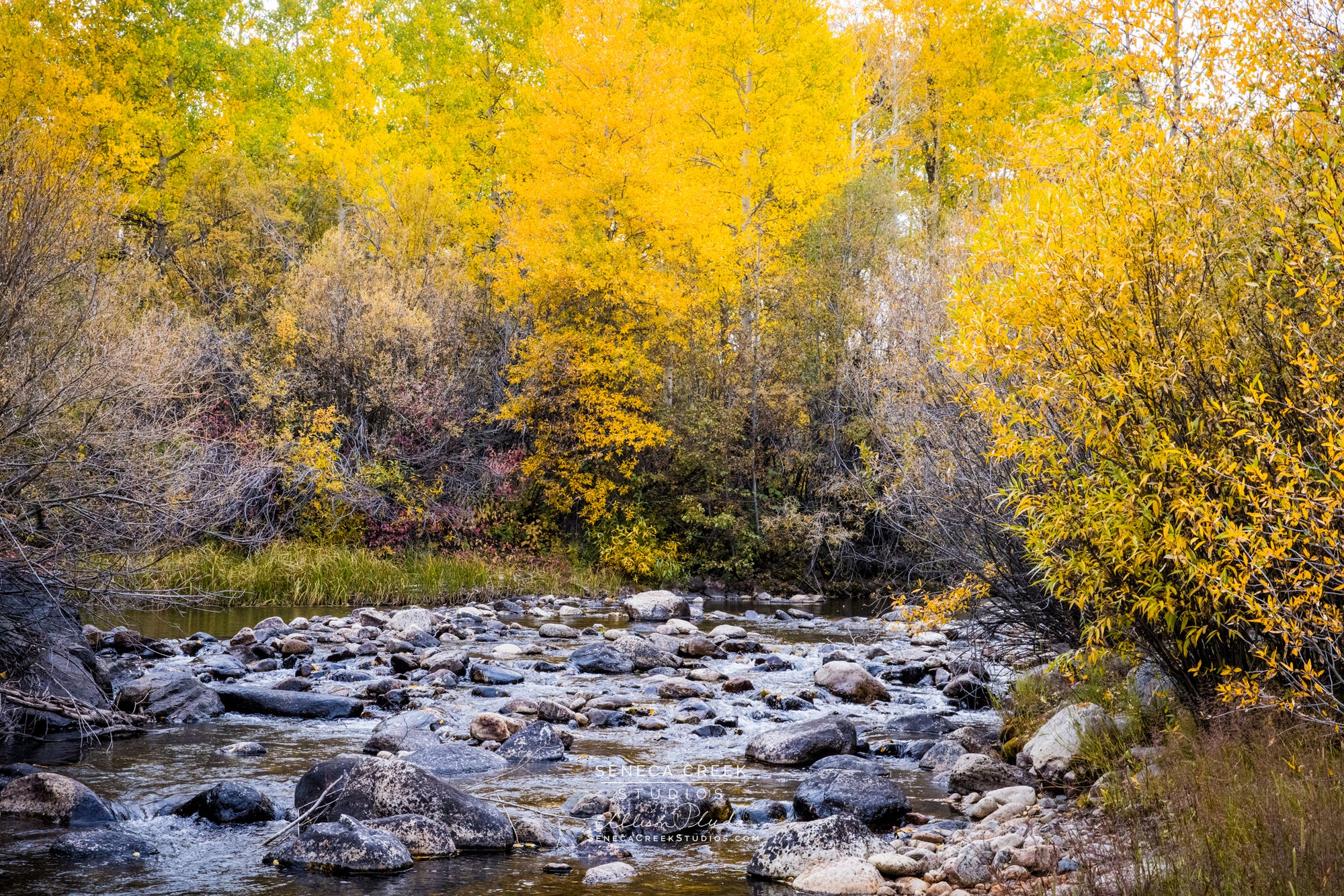 "Autumn Fall Color Mountain River" Fine Art Photography Print