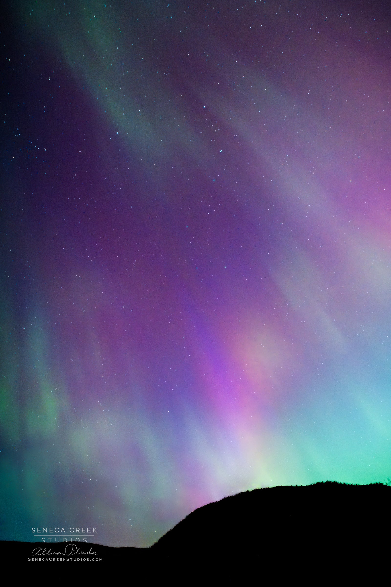 "Colorful Northern Lights and Aurora Borealis from outside Laramie, Wyoming in Medicine Bow National Forest" Fine Art Photography Print