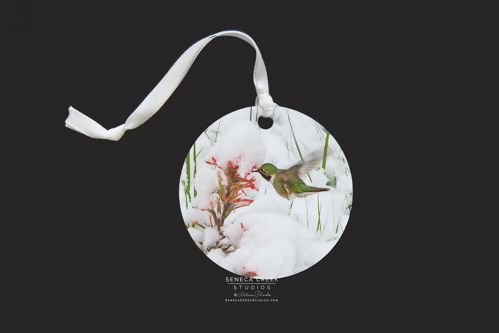 "Hummingbird and Indian Paintbrush in a Late June Wyoming Spring Snow” Fine Art Metal Print Ornaments