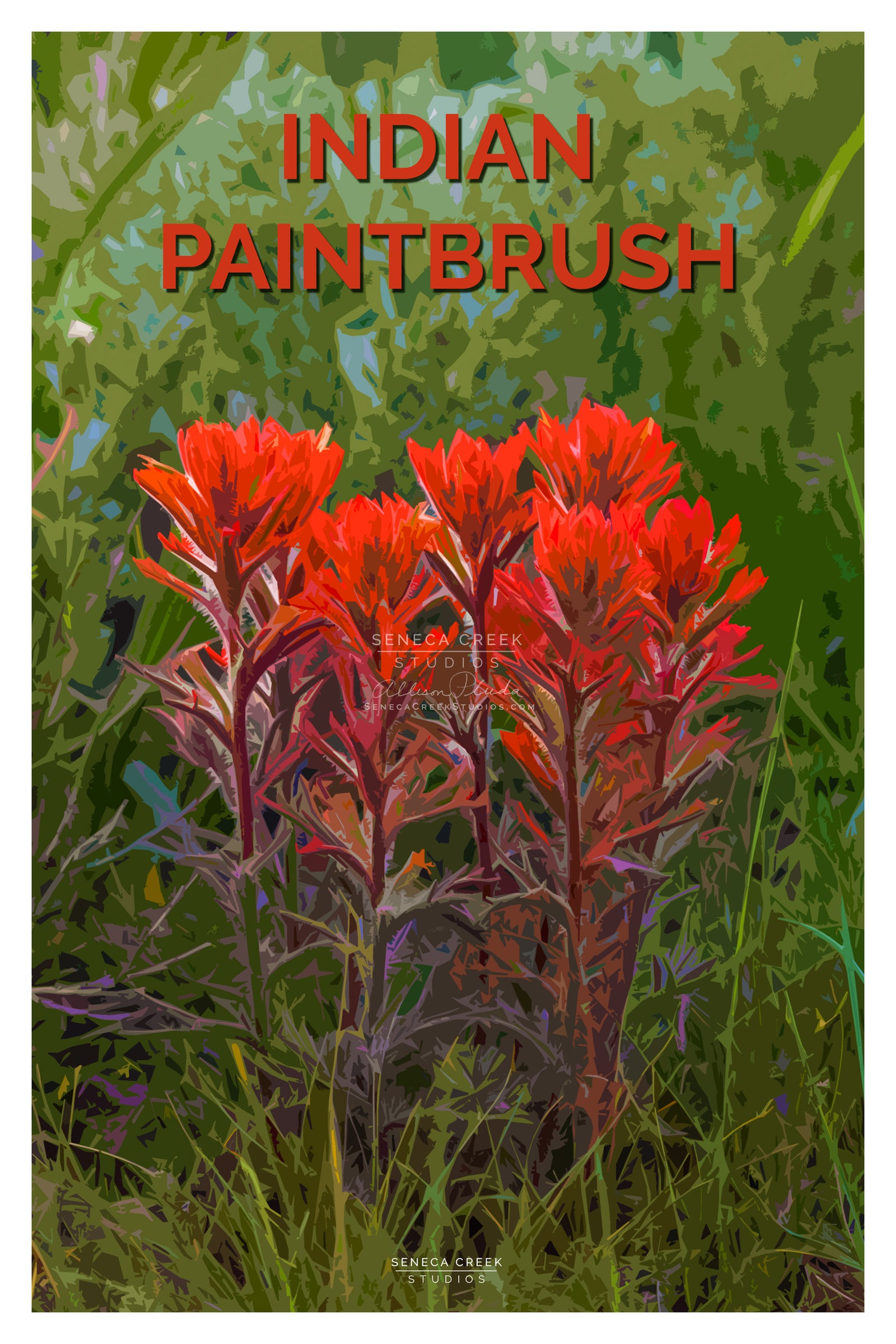 “Indian Paintbrush Wildflowers” 12x18 High Quality Vintage Poster Art Print - Original Artwork