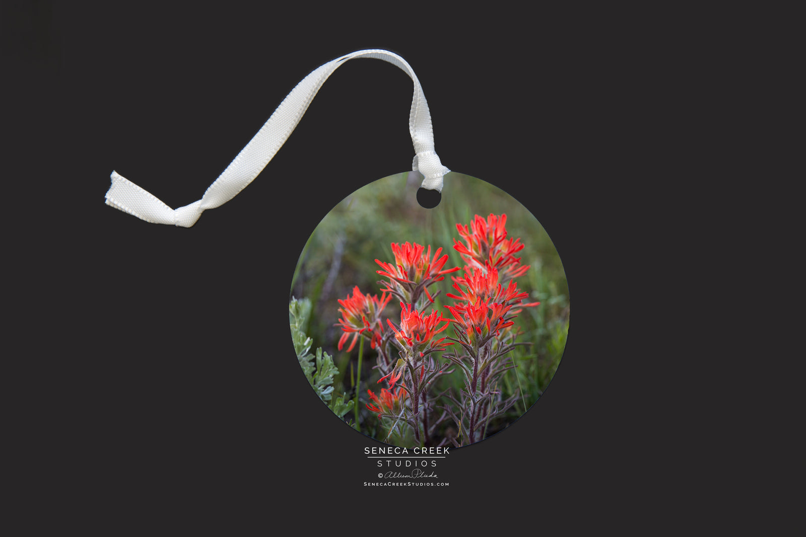"Wyoming Indian Paintbrush Wildflower” Fine Art Metal Print Ornaments