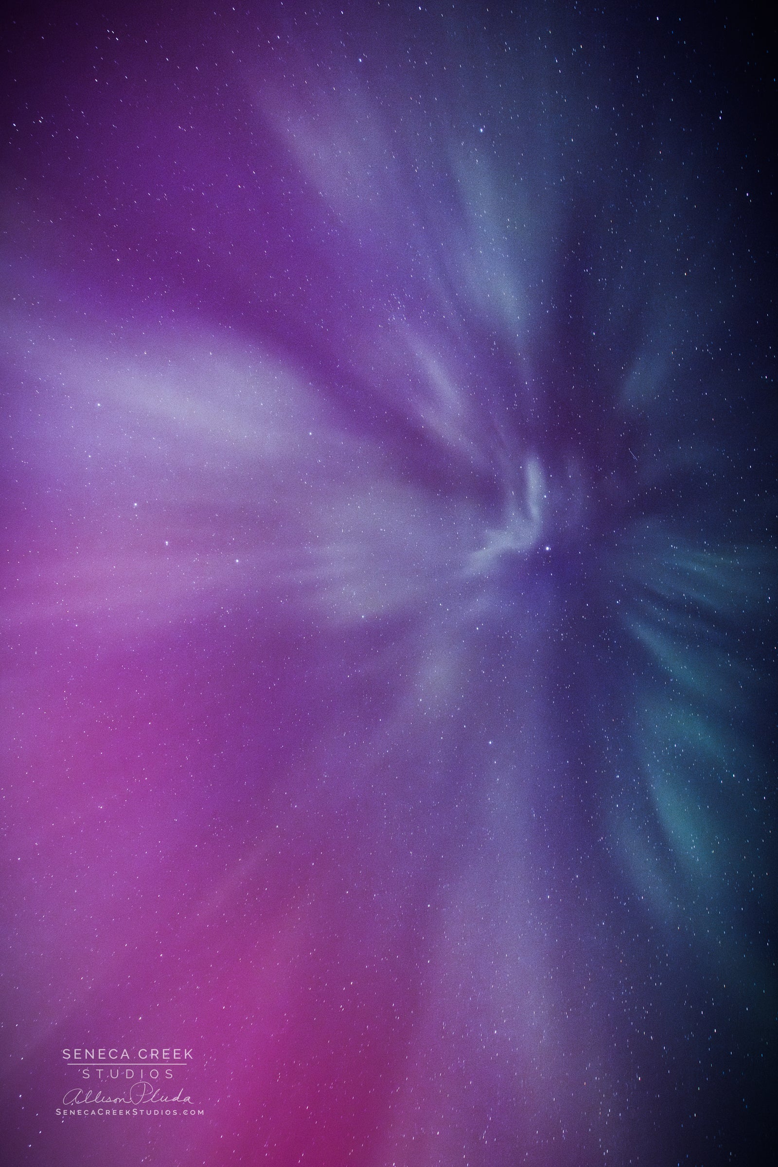 "Looking Straight Up at the Northern Lights and Aurora Borealis from outside Laramie, Wyoming" Fine Art Photography Print