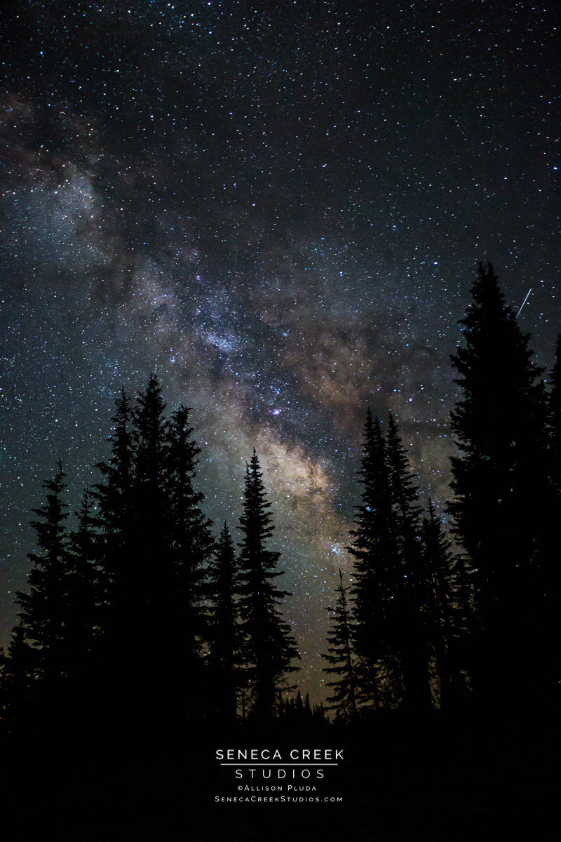 Milky Way Galaxy and Shooting Star Behind the Trees  | Professional Fine Art Western, Rocky Mountains, and Wyoming Nature and Landscape Photography Archival Fine Art Wall Prints and Decor by Seneca Creek Studios. © Copyright Allison Pluda