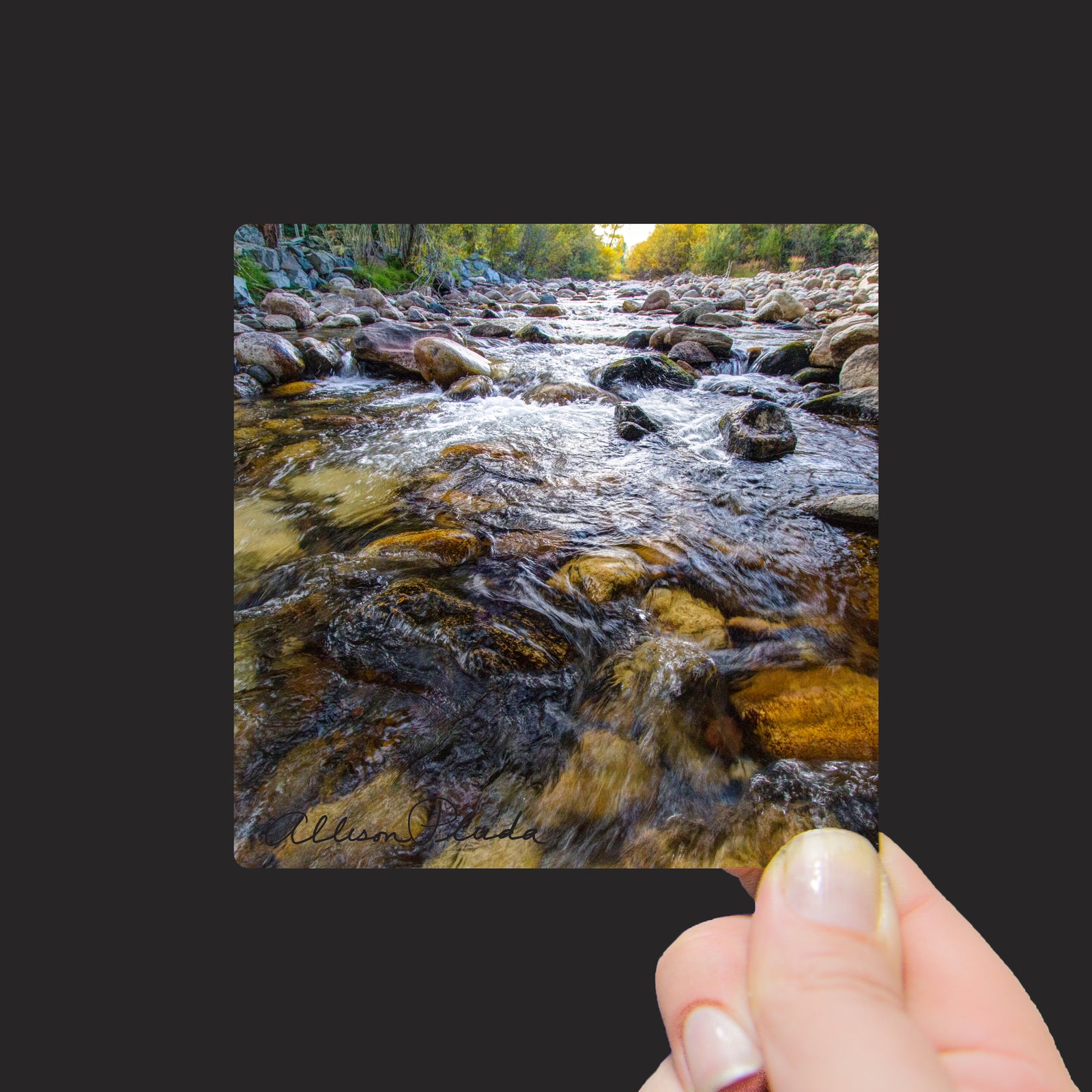 "North Fork of the Little Laramie River, Centennial, Wyoming" Mini Metal Print - Seneca Creek Studios