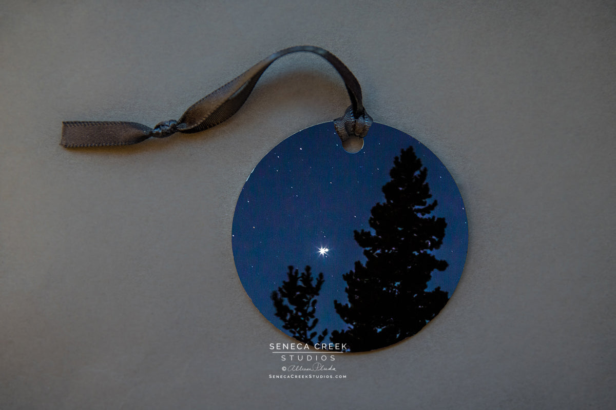 “Christmas Star” Fine Art Metal Print Ornaments - Seneca Creek Studios