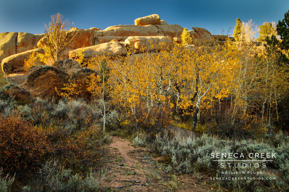 "Fall Vedauwoo Landscape at Blair Wallis, Medicine Bow National Forest, Wyoming" Fine Art Photographic Print - Seneca Creek Studios