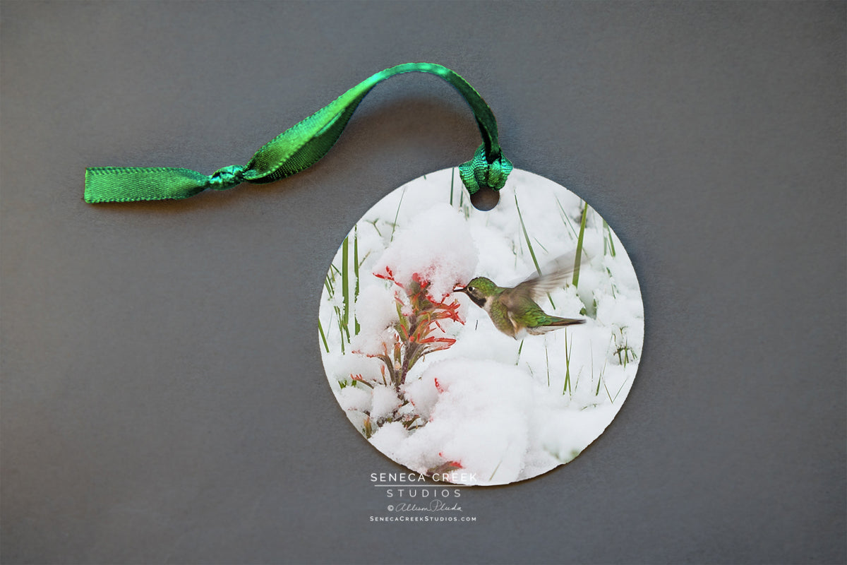 "Hummingbird and Indian Paintbrush in a Late June Wyoming Spring Snow” Fine Art Metal Print Ornaments - Seneca Creek Studios