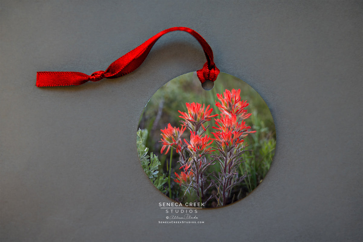 "Wyoming Indian Paintbrush Wildflower” Fine Art Metal Print Ornaments - Seneca Creek Studios