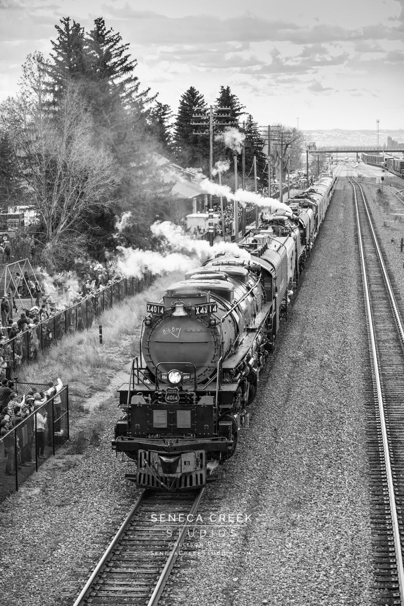 Big Boy No. 4014 and The Living Legend No. 844 Steam Locomotives, Train Depot, Laramie, Wyoming - Seneca Creek Studios