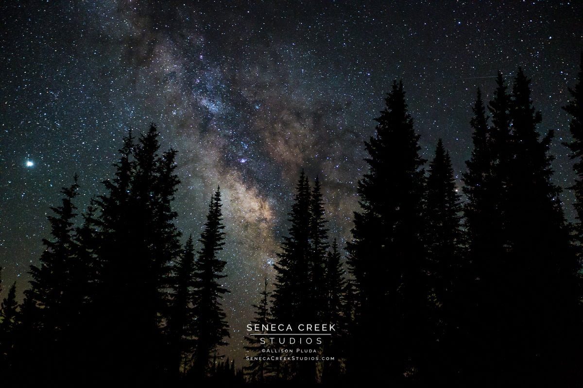 Milky Way Galaxy and Shooting Star Behind the Trees  | Professional Fine Art Western, Rocky Mountains, and Wyoming Nature and Landscape Photography Archival Fine Art Wall Prints and Decor by Seneca Creek Studios. © Copyright Allison Pluda