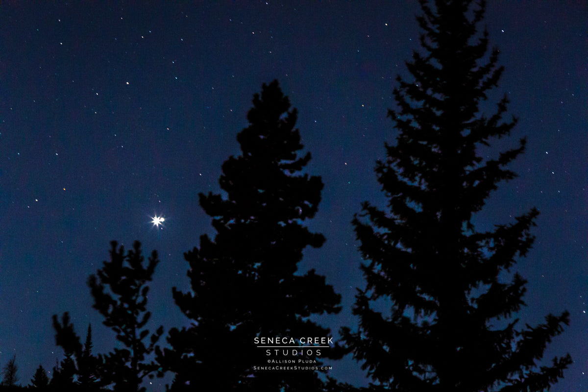 "3 Trees & The Great Conjunction Christmas Star, Winter Solstice 2020" Fine Art Photography Print - Seneca Creek Studios