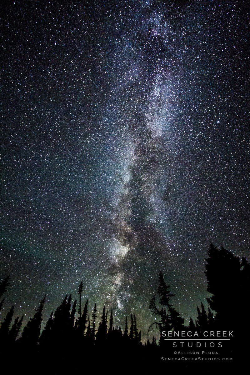 "The arm of the Milky Way on a New Moon in Wyoming" Fine Art Photographic Print - Seneca Creek Studios