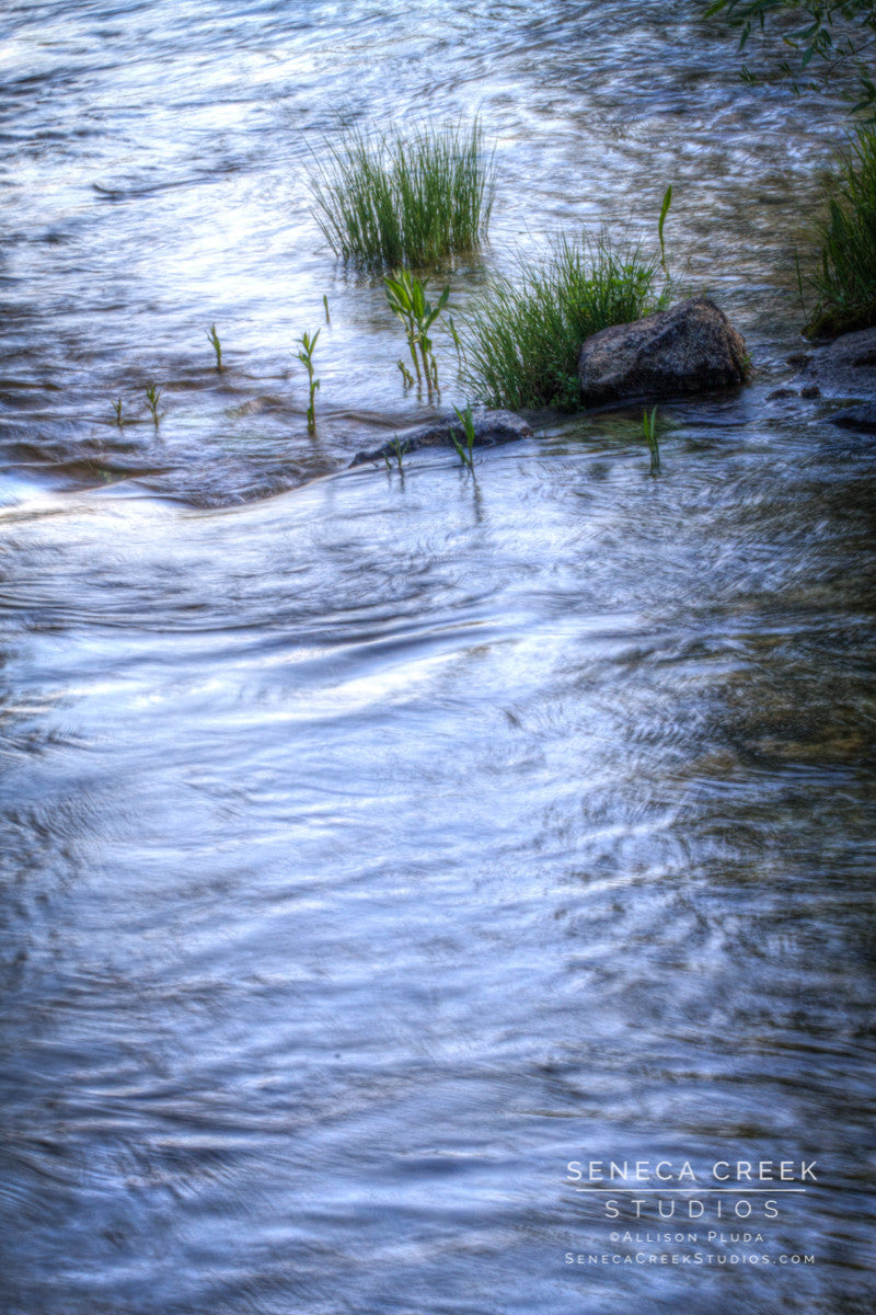 "Tranquility in a Stream" Fine Art Photographic Print - Seneca Creek Studios